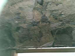 acastle 166240.jpg